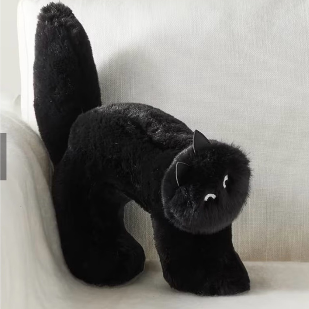 Pottery Barn Black Cat Halloween decoration pillow